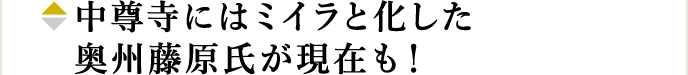 中尊寺にはミイラと化した奥州藤原氏が現在も！