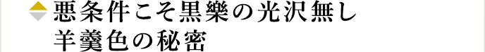 悪条件こそ黒樂の光沢無し羊羹色の秘密