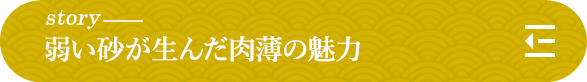 story 弱い砂が生んだ肉薄の魅力 